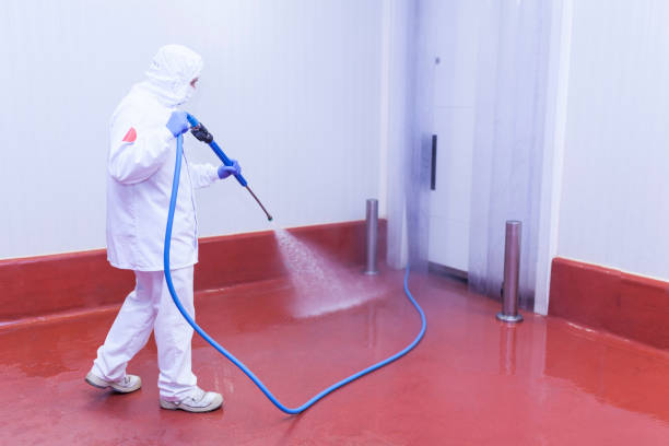  Rancho Tehama Reserve, CA Pressure Washing Pros