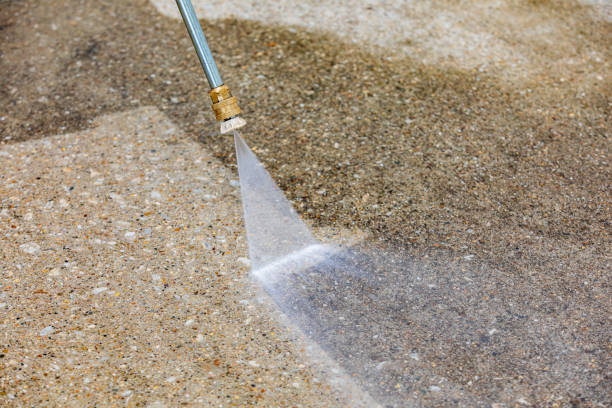 Animal Enclosure Cleaning in Rancho Tehama Reserve, CA